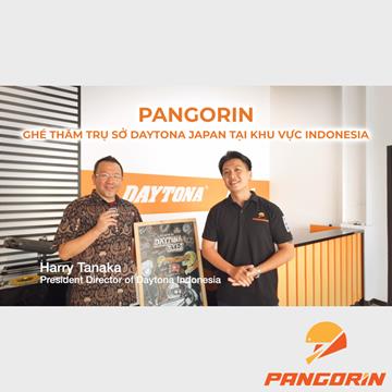 Pangorin
