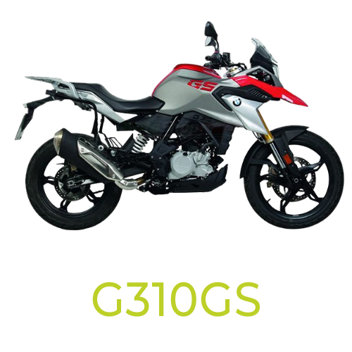 G310GS