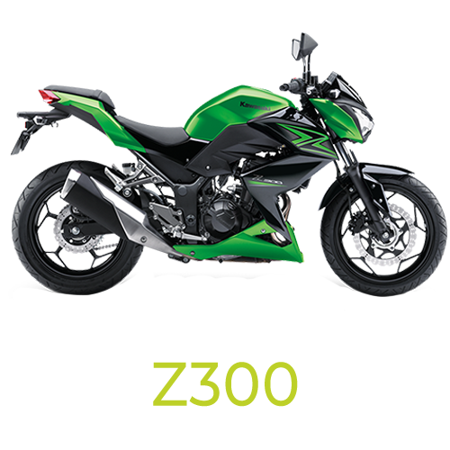 Z300